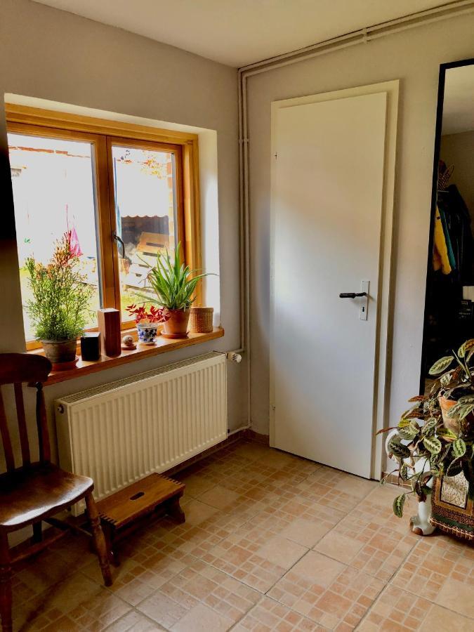 Gemuetliches Studio-Apartment In Ostseenaehe - Cosy Wulfi Probsteierhagen Bagian luar foto