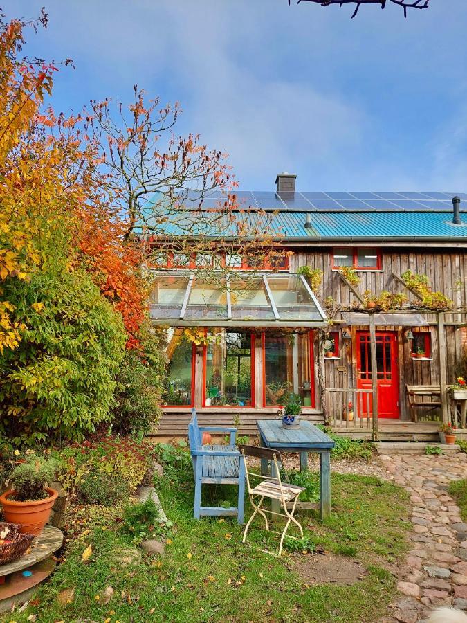 Gemuetliches Studio-Apartment In Ostseenaehe - Cosy Wulfi Probsteierhagen Bagian luar foto